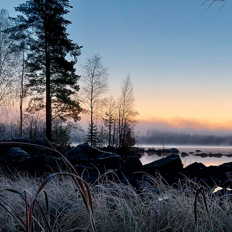 Tervetuloa uusille www-sivuillemme!